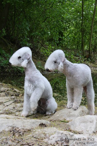 2010-05-01 Svet und Aveline (32).JPG